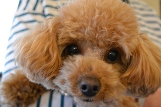 DSC_0277 - Rs[.JPG