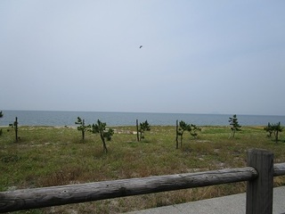 IMG_2243.JPG