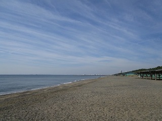 IMG_3054.JPG