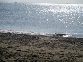 IMG_3061.JPG