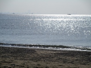 IMG_3062.JPG