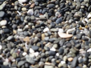 IMG_3064.JPG