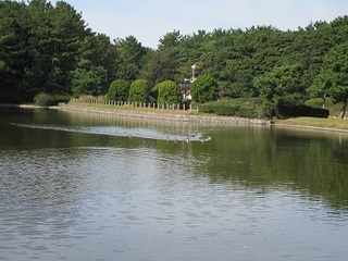 IMG_3071.JPG